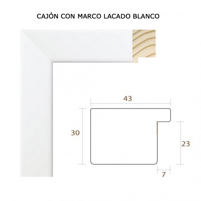 copy of PLANTILLA Tapa Contador Grande Vertical