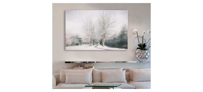 Snowy Landscapes canvas prints