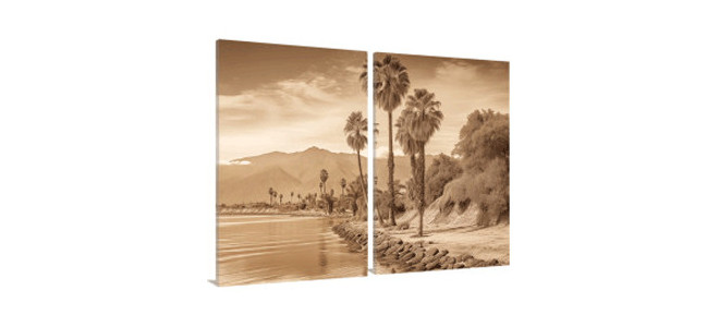 Palm Trees canvas prints